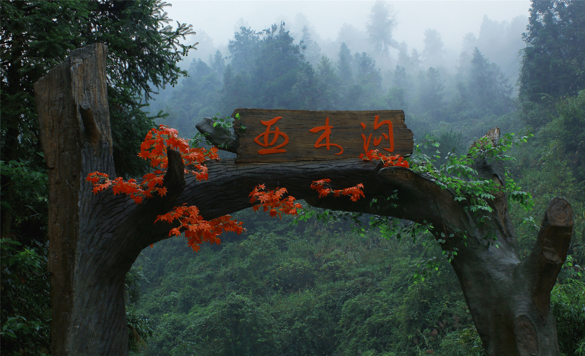 亚木沟风景区官方网站